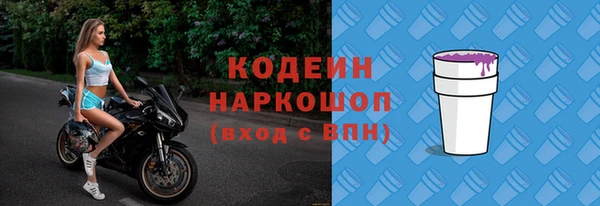 шишки Осташков