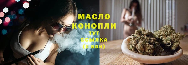 шишки Осташков