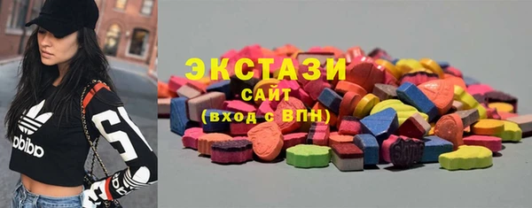 шишки Осташков