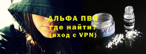 шишки Осташков