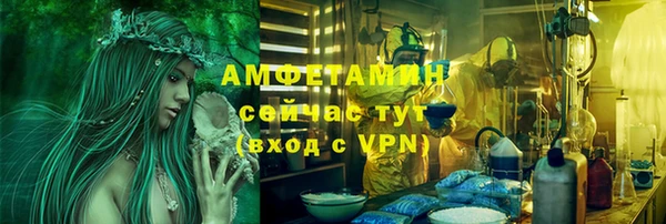 шишки Осташков