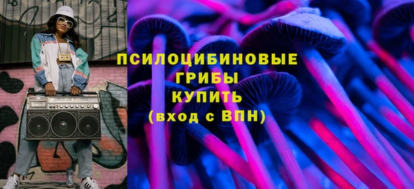 шишки Осташков