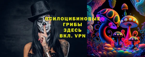 шишки Осташков