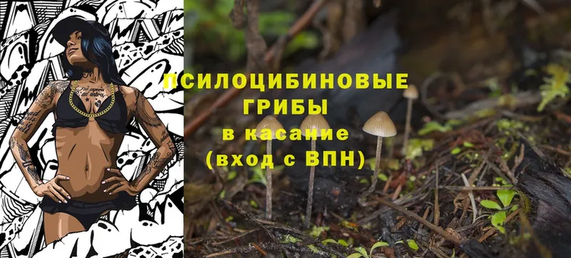 ссылка на мегу ONION  Павлово  Галлюциногенные грибы MAGIC MUSHROOMS 