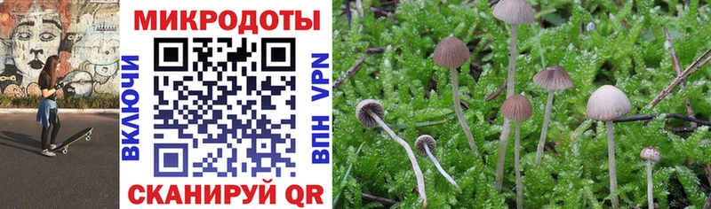 магазин  наркотиков  Павлово  МЕГА ТОР  Галлюциногенные грибы Magic Shrooms 
