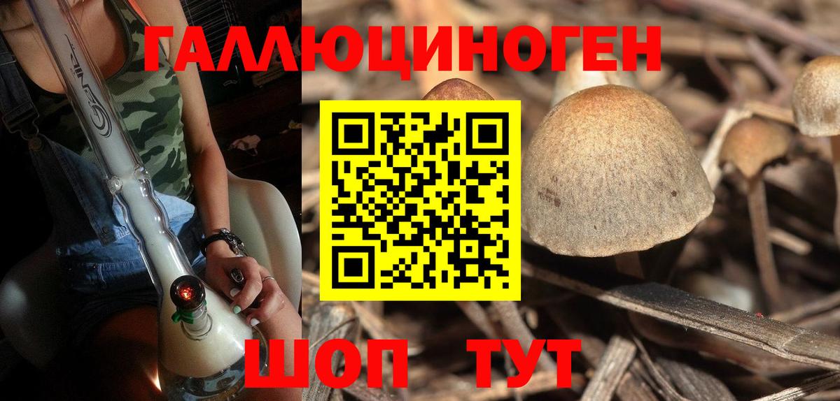 Павлово  Галлюциногенные грибы MAGIC MUSHROOMS  Псилоцибиновые грибы Magic Shrooms  Вход с VPN 