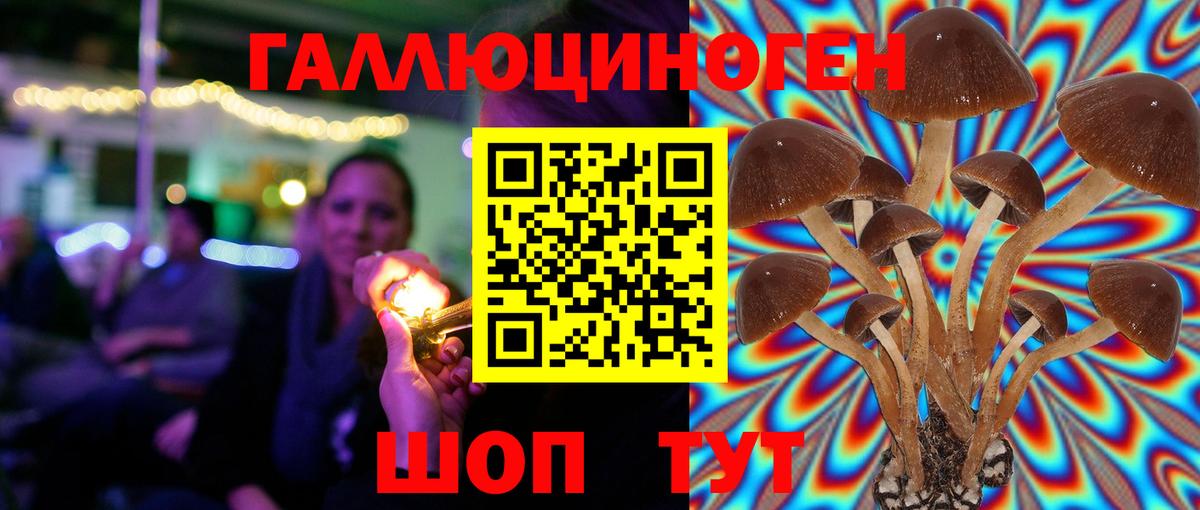 Псилоцибиновые грибы GOLDEN TEACHER Павлово